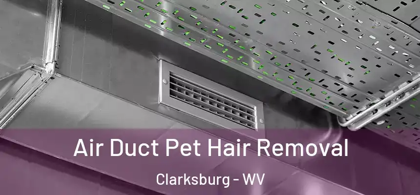 Air Duct Pet Hair Removal Clarksburg - WV