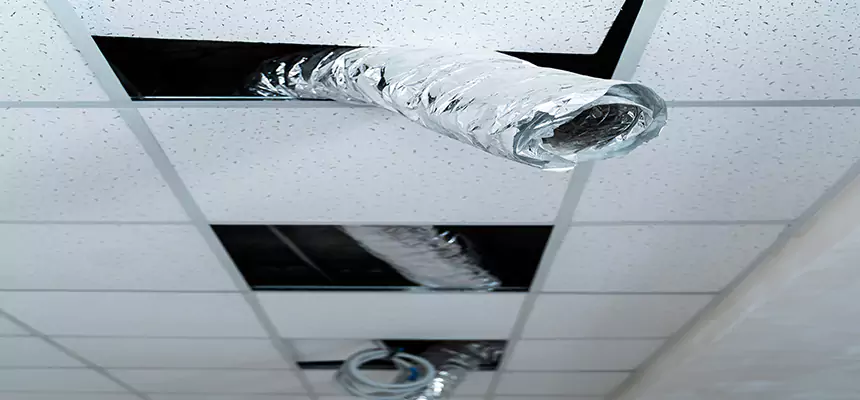 Affordable HVAC Sanitizing After Pest Removal in Clarksburg