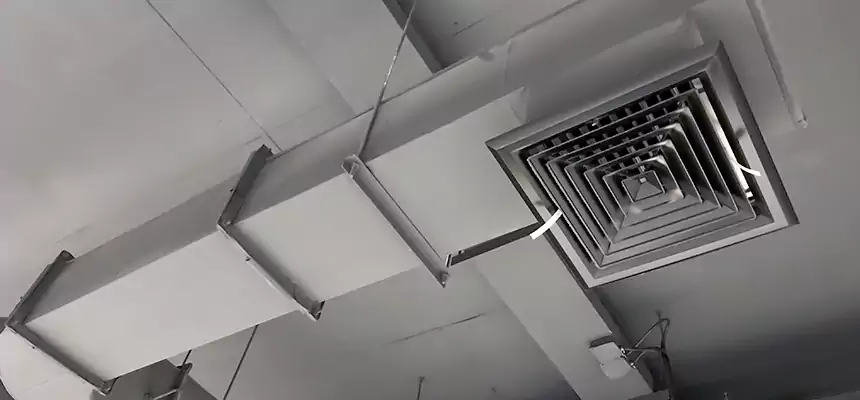 Our Pest Removal From Ducts Services in Clarksburg, WV