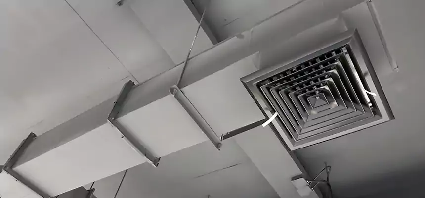 Our Rodent Droppings In Vents Services in Clarksburg, WV