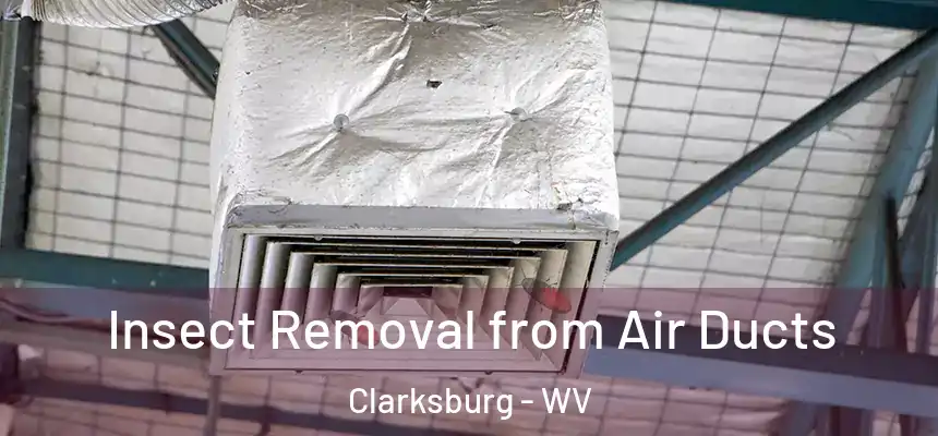 Insect Removal from Air Ducts Clarksburg - WV