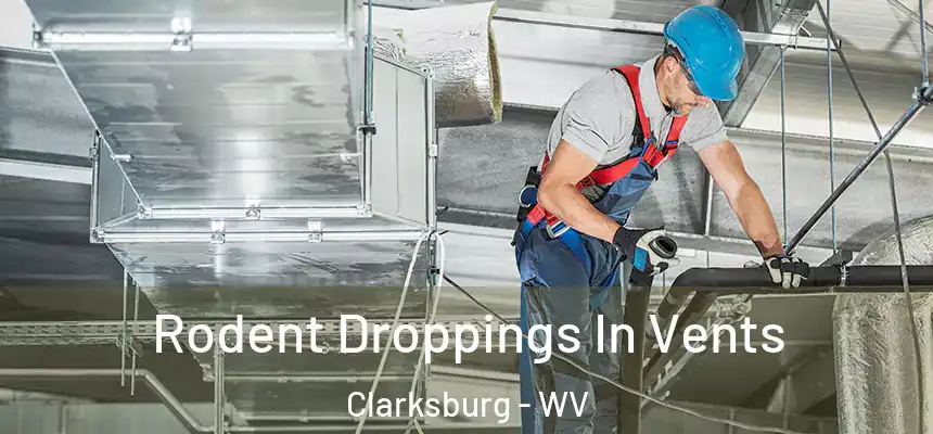 Rodent Droppings In Vents Clarksburg - WV