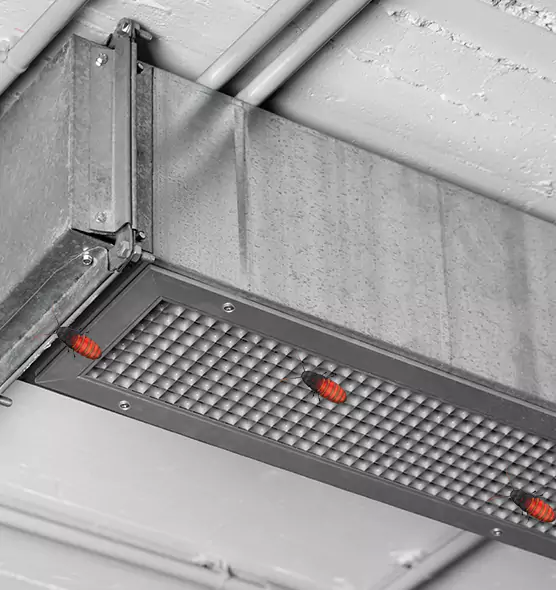 About Air Duct Cockroach Removal in Clarksburg, WV