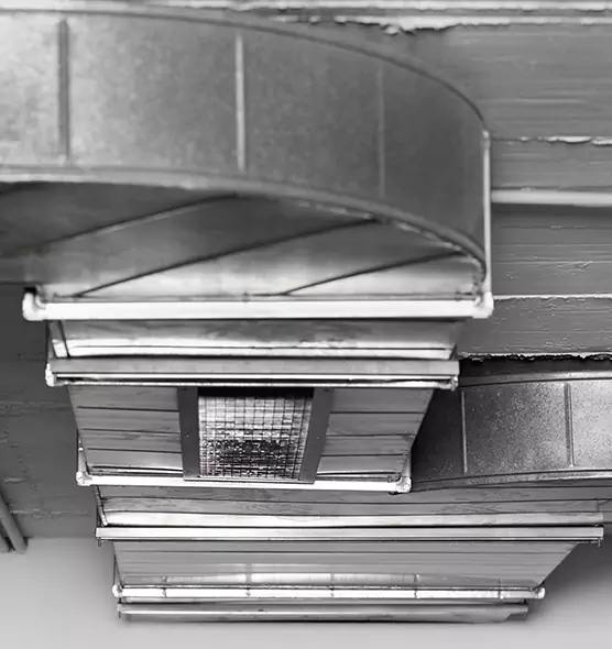 Professional Air Duct Pest Removal in Clarksburg, WV