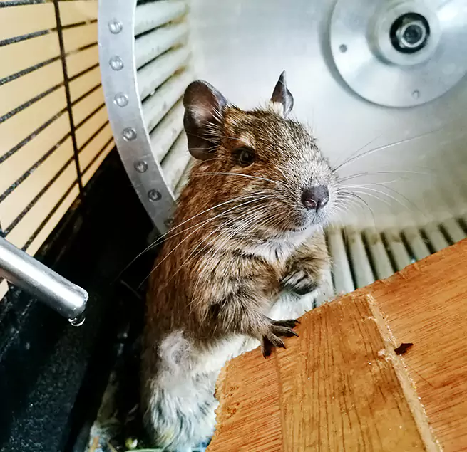 Why Homeowners & Businesses Trust Us Clarksburg, WV?